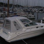 SeaRay 290