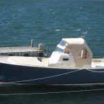 Rhea 35 Open