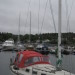 OE 36 OE 36